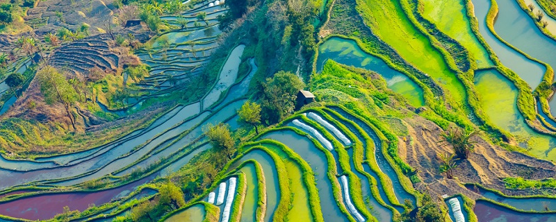 明朝科学家宋应星编著的什么是中国古代一部综合性的科学技术 明朝科学家宋应星编著的是中国古代一部综合性的科学技术著作