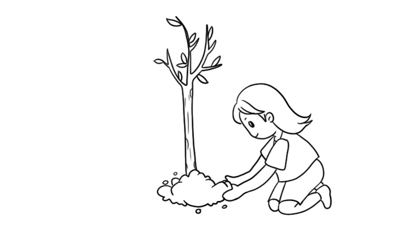 植树节图片简笔画怎么画  植树节图片简笔画的教程