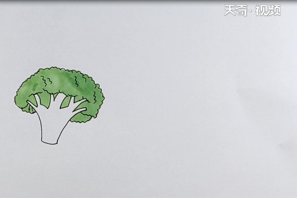 西兰花简笔画