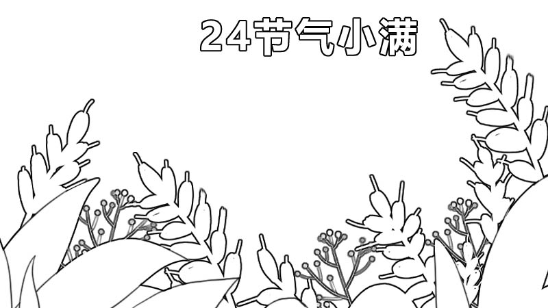 24节气小满手抄报 24节气小满手抄报画法