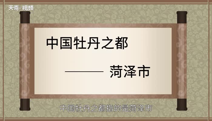 牡丹之都是哪个城市 中国牡丹之乡是哪座城市