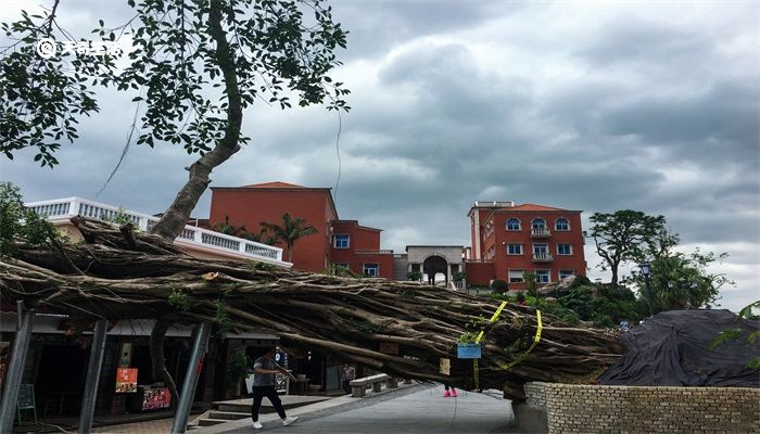 台风停课信号是什么颜色 台风预警信号哪级停课