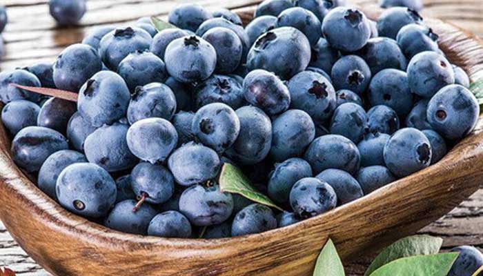 蓝莓的功效与作用 蓝莓有什么功效