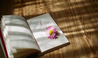 烂若舒锦意思 烂若舒朝霞的意思