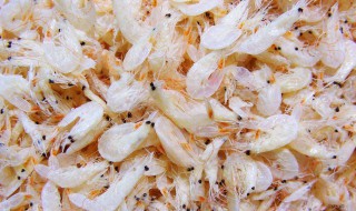 虾皮煮熟贮存法的做法 熟虾皮怎么保存