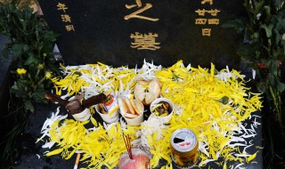 清明节送什么花好（清明节送什么花合适）