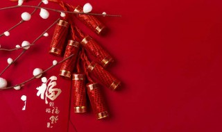 新年畅想作文（新年畅想作文500字）