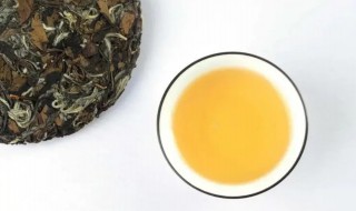 老白茶的功效和作用 喝白茶有什么好处和功效和作用
