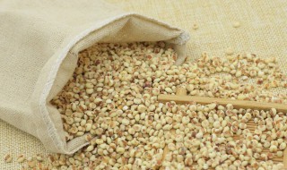 高粱米的营养价值与功效 高粱米的营养价值及功效与作用
