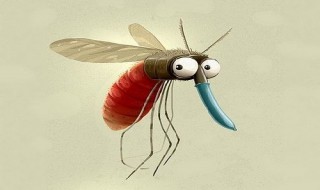 防蚊子咬有什么方法 防蚊子咬有什么方法吗