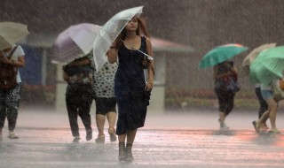 雨的成语（雨的成语大全四个字）