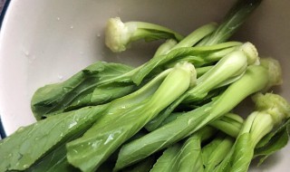 猴菇炒青菜怎么做（猴菇和什么炒一起好吃）