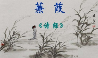 诗经蒹葭原文翻译赏析 诗经蒹葭原文及翻译百度诗词