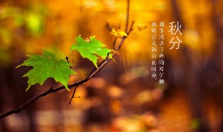 秋分是什么季节（秋分是什么季节怎么意思）