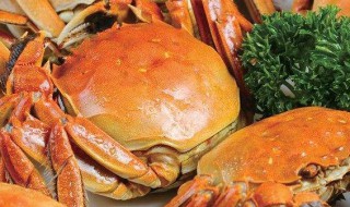 海螃蟹蒸多久最佳时间 海螃蟹蒸多久最佳时间梭子蟹