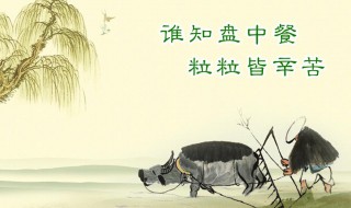 杜绝浪费粮食的标语（杜绝浪费粮食的标语8字）