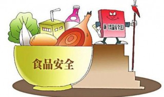 食品安全的重要性（食品安全的重要性100字）