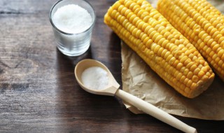 排骨玉米汤（排骨玉米汤怎么炖好喝又营养补血）