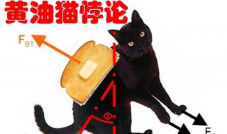 黄油猫悖论 黄油猫悖论的意义