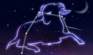 双子座和什么星座最配 双子座和什么星座最配做夫妻