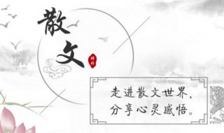 散文诗的特点 散文诗的特点是什么20字