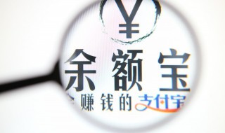 怎样登录支付宝主页（登录支付宝怎么登录）