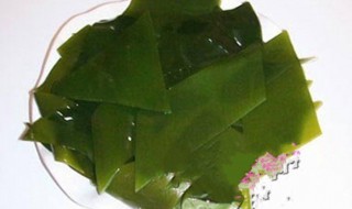 海带叶芽怎么保存（海带叶芽怎么保存最好）