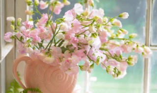 鲜花怎么保存更长 鲜花怎么保存更长久一些