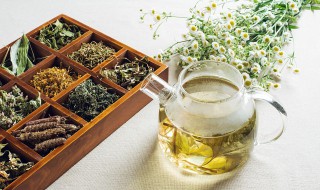 茉莉花茶的制作方法 茉莉花茶的制作方法有几种