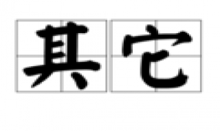 其他与其它的区别（其他与其它的区别和联系）