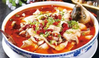 鲢鱼的做法大全（胡子鲢鱼的做法大全）