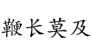 鞭长莫及是什么意思 鞭长莫及是什么意思秒懂百科