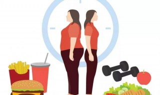 如何健康有效的减肥方法 如何健康有效的减肥方法图片