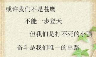 打不死的小强励志词句（打不死的小强励志词句简短）