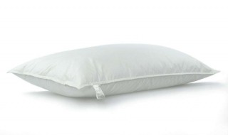 蓬松棉抱枕如何做 蓬松棉抱枕如何做的