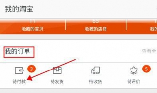 我的订单查询 我的订单查询明细