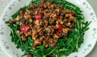 螺丝肉的家常做法（螺丝肉的家常做法大全）