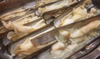 圣子王怎么清洗 圣子王需要焯水吗