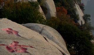 中国的五岳名山中西岳指的是哪个山（中国的五岳名山中西岳指的是哪个山脉）