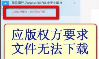 迅雷版权无法下载怎么办 迅雷版权下不了