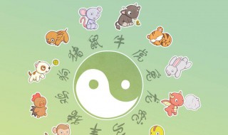 水里游的动物打一生肖 水里游的动物打一最佳生肖