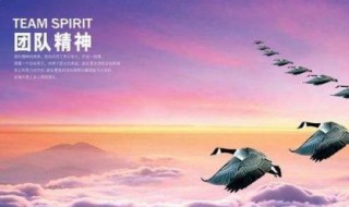 企业团队精神口号（企业团队精神口号标语）