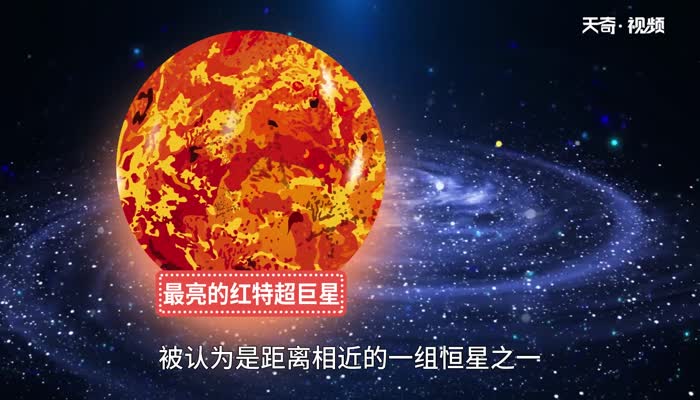 宇宙最大的恒星 宇宙最大的恒星是哪个