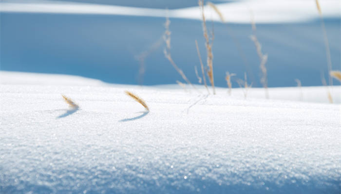 冬雪雪冬指的是哪四个节气 立冬节气代表着什么