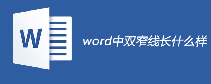 双窄线是什么样子（word双窄线是什么样子）