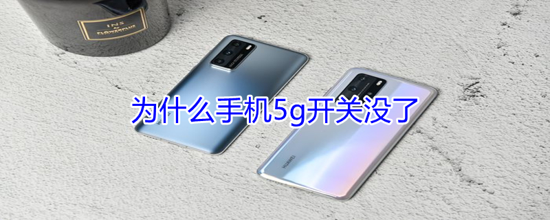 为什么手机5g开关没了（打开了5g手机上怎么没有5g）
