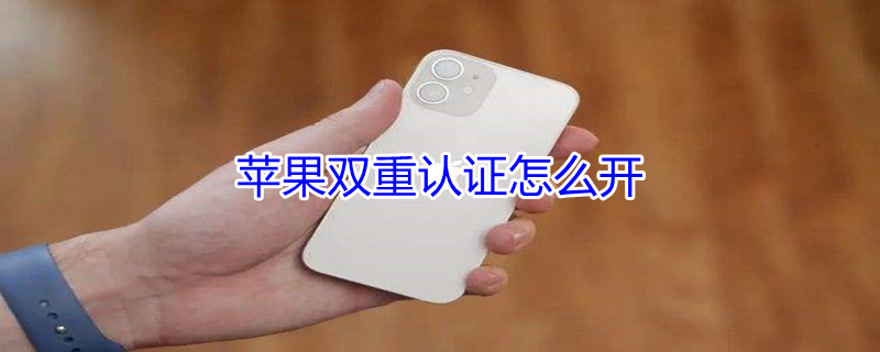 iPhone双重认证怎么开（苹果双重认证如何开启）