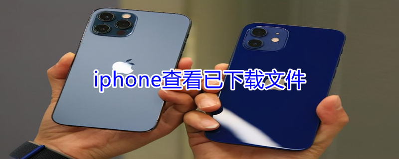iPhone查看已下载文件（苹果手机怎么看本地文件管理）