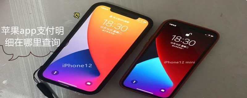 iPhoneapp支付明细在哪里查询 苹果app支付记录怎么看