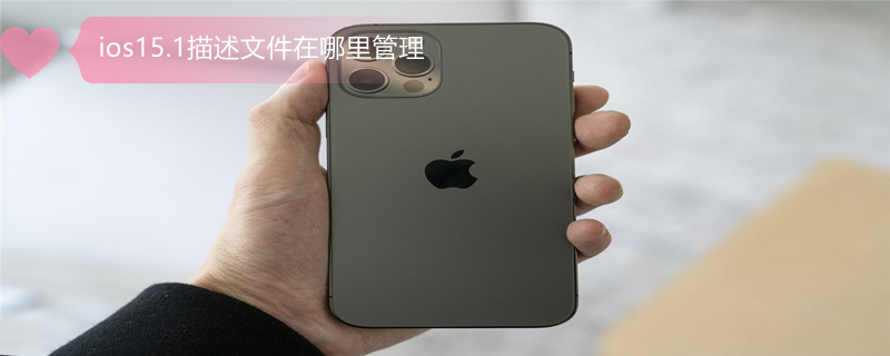 ios15.1描述文件在哪里管理（ios15描述文件入口）